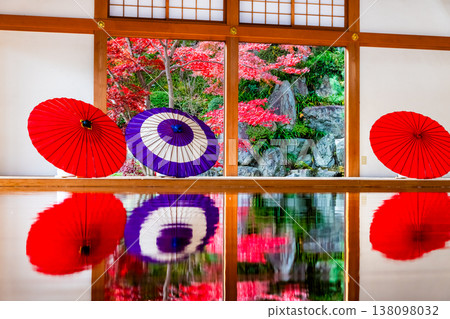群馬縣寶德寺地面上的楓葉 群馬縣寶德寺地面上的楓葉 138098032
