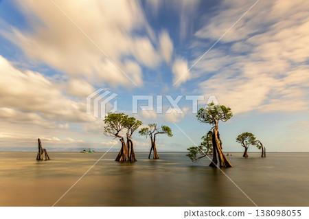 Beautiful tropical beach sea and ocean with mangrove tree on blue sky and white cloud 138098055