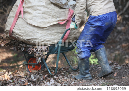 A man collecting fallen leaves A man collecting fallen leaves 138098069