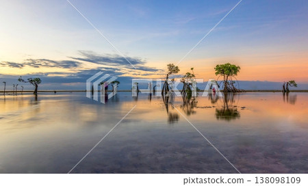 Mangrove,walakiri beach, sumba island,indonesia, Mangrove,walakiri beach, sumba island,indonesia, 138098109