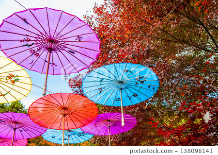 群馬縣，法德寺：日本傘與秋葉在空中飄蕩 138098141