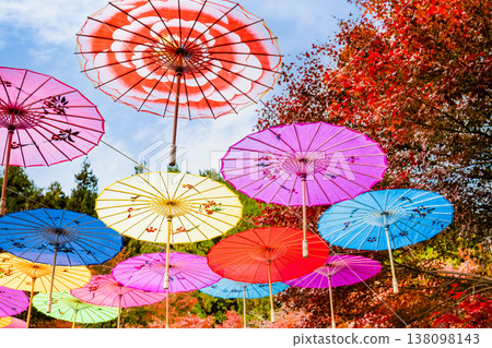 Gunma, Hōtoku-ji Temple: Japanese umbrellas and autumn leaves floating in the sky Gunma, Hōtoku-ji Temple: Japanese umbrellas and autumn leaves floating in the sky 138098143