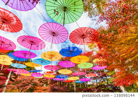 Gunma, Hōtoku-ji Temple: Japanese umbrellas and autumn leaves floating in the sky Gunma, Hōtoku-ji Temple: Japanese umbrellas and autumn leaves floating in the sky 138098144