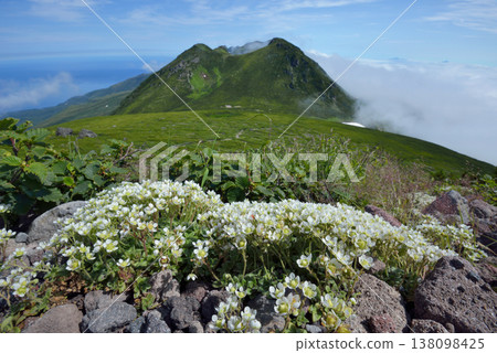 Chishimakumomagusa和知床山脈(北海道知床) Chishimakumomagusa和知床山脈(北海道知床) 138098425