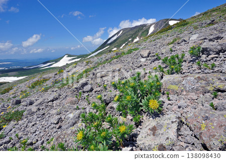 Hosobai Wabenkei社區和Hakuundake山（北海道Taisetsu山） 138098430
