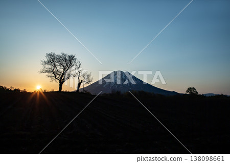 山羊Yotei在早晨發光 138098661