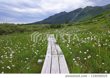 Wooden boardwalk and cotton grass (Daisetsuzan, Hokkaido) Wooden boardwalk and cotton grass (Daisetsuzan, Hokkaido) 138098926