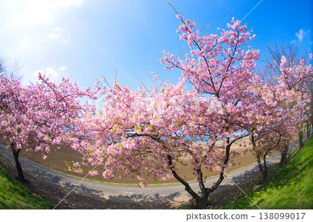 宮之下宇宙公園的春色 138099017