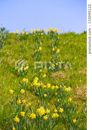 宮之下宇宙公園的春色 138099128