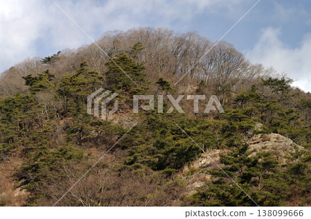 Yamatsuriyama, Fukushima Prefecture. On a bitterly cold winter day, I hiked this low mountain, perfect for a leisurely stroll. 138099666
