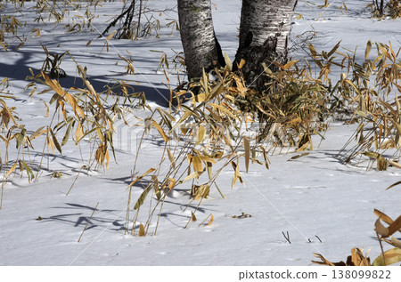 奧日光。群山閃耀著純白的光芒,景色令人心曠神怡,湛藍的天空如同浩瀚的宇宙般延伸開來。那一刻,純粹的幸福令人陶醉。 奧日光。群山閃耀著純白的光芒,景色令人心曠神怡,湛藍的天空如同浩瀚的宇宙般延伸開來。那一刻,純粹的幸福令人陶醉。 138099822