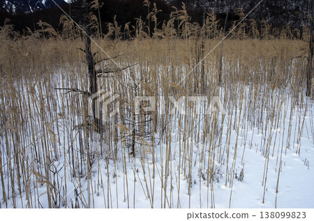 奧日光。群山閃耀著純白的光芒,景色令人心曠神怡,湛藍的天空如同浩瀚的宇宙般延伸開來。那一刻,純粹的幸福令人陶醉。 奧日光。群山閃耀著純白的光芒,景色令人心曠神怡,湛藍的天空如同浩瀚的宇宙般延伸開來。那一刻,純粹的幸福令人陶醉。 138099823