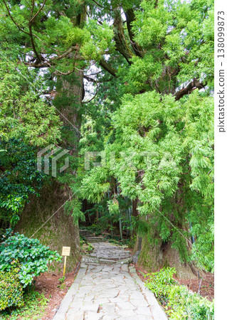 World heritage Kumano Kodo Daimonzaka World heritage Kumano Kodo Daimonzaka 138099873