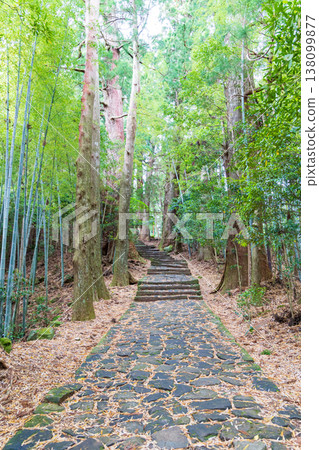 世界遺產Kumano Kodo Daimonzaka 世界遺產Kumano Kodo Daimonzaka 138099877