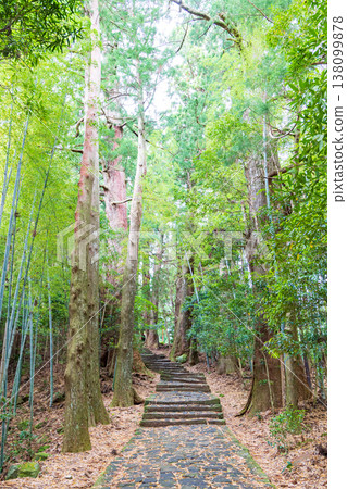World heritage Kumano Kodo Daimonzaka 138099878