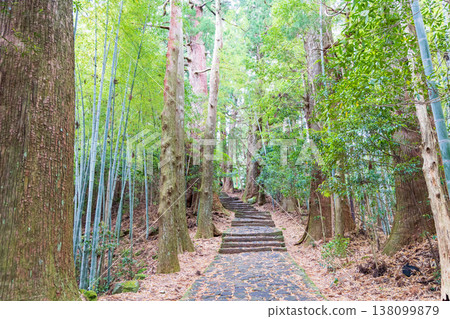 World heritage Kumano Kodo Daimonzaka World heritage Kumano Kodo Daimonzaka 138099879