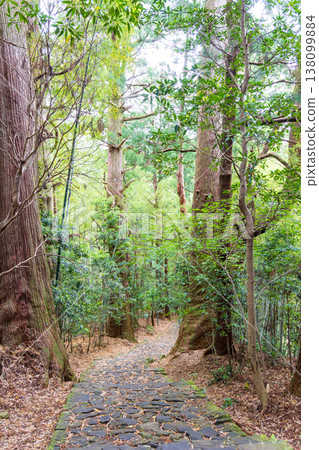 世界遺產Kumano Kodo Daimonzaka 世界遺產Kumano Kodo Daimonzaka 138099884