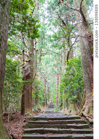 世界遺產Kumano Kodo Daimonzaka 138099889