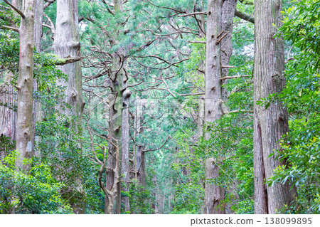 World heritage Kumano Kodo Daimonzaka 138099895