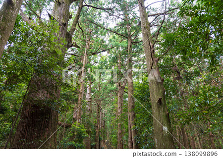 世界遺產Kumano Kodo Daimonzaka 138099896
