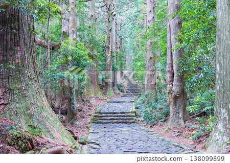 世界遺產Kumano Kodo Daimonzaka 世界遺產Kumano Kodo Daimonzaka 138099899