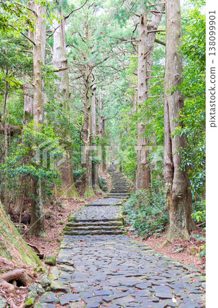 世界遺產Kumano Kodo Daimonzaka 世界遺產Kumano Kodo Daimonzaka 138099901