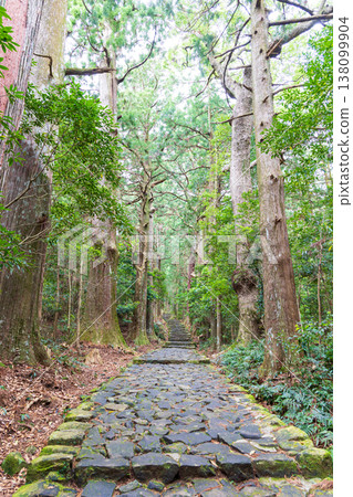 世界遺產Kumano Kodo Daimonzaka 世界遺產Kumano Kodo Daimonzaka 138099904