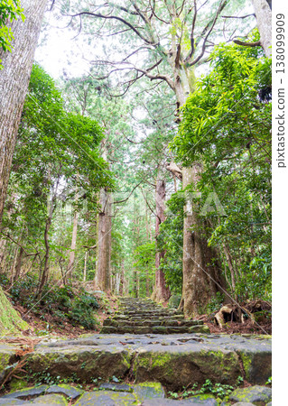 World heritage Kumano Kodo Daimonzaka World heritage Kumano Kodo Daimonzaka 138099909
