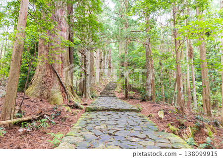 世界遺產Kumano Kodo Daimonzaka 世界遺產Kumano Kodo Daimonzaka 138099915