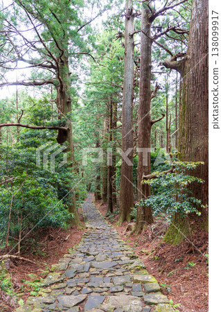 World heritage Kumano Kodo Daimonzaka World heritage Kumano Kodo Daimonzaka 138099917
