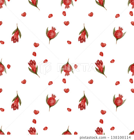 Delicate Pomegranate Floral Illustrations. Lightly Painted Pomegranate Flower Backgrounds For Cards 138100114