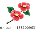 Color illustration of branches and camellias 138100963
