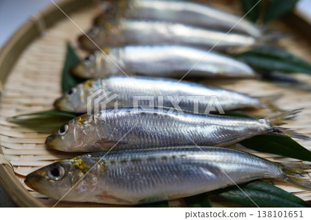 季節性沙丁魚的特寫。 138101651