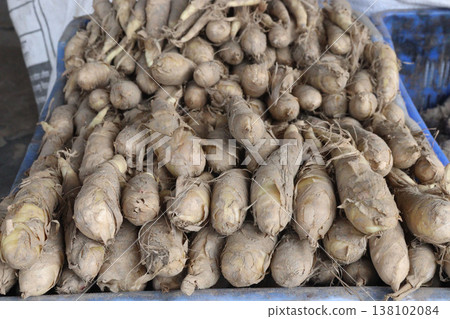 Maranta arundinacea also called arrowroot stock on shop 138102084