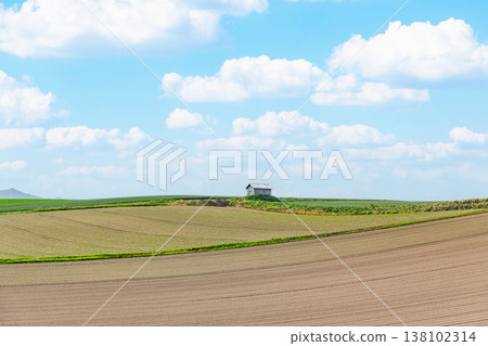 Summer in Hokkaido: Large fields and a small shed (a rural image) Summer in Hokkaido: Large fields and a small shed (a rural image) 138102314