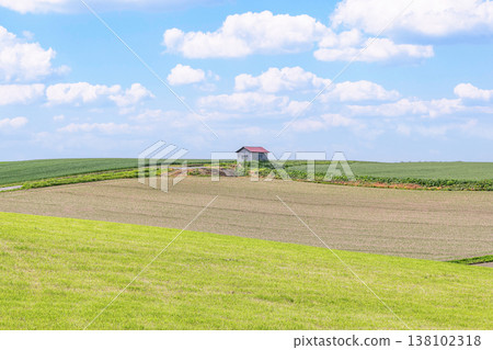 Summer in Hokkaido: Large fields and a small shed (a rural image) Summer in Hokkaido: Large fields and a small shed (a rural image) 138102318