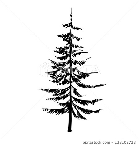 Pine Tree Line Art Pine Tree Line Art 138102728