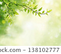 Refreshing fresh green background material 138102777