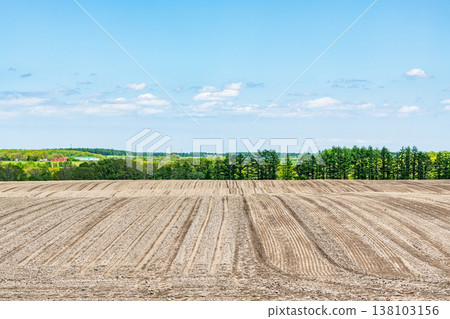 A large field prepared before planting (agricultural image) A large field prepared before planting (agricultural image) 138103156