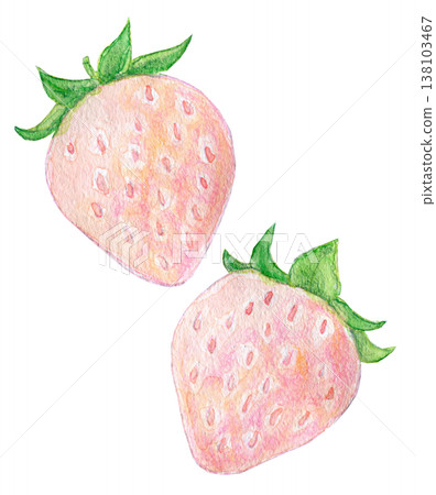 Watercolor illustration, hand-drawn illustration, white strawberry Watercolor illustration, hand-drawn illustration, white strawberry 138103467
