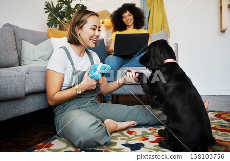 Home, lesbian or happy couple with dog in house living room on floor to relax with paw trick, loyalty or love. Teaching pet, handshake or woman playing with her animal with care, support or smile Home, lesbian or happy couple with dog in house living room on floor to relax with paw trick, loyalty or love. Teaching pet, handshake or woman playing with her animal with care, support or smile 138103756