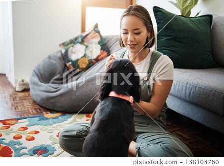 Love, care and woman with dog in home lounge to relax and play with animal. Pet owner, happiness and asian person on floor with affection, companion and wellness or friendship in cozy apartment Love, care and woman with dog in home lounge to relax and play with animal. Pet owner, happiness and asian person on floor with affection, companion and wellness or friendship in cozy apartment 138103760