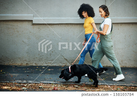 Love, happy and lesbian couple walking with dog in city street for exercise, bonding and fun. Lgbtq, animal and interracial young gay women in urban town road with pet puppy for fresh air together. Love, happy and lesbian couple walking with dog in city street for exercise, bonding and fun. Lgbtq, animal and interracial young gay women in urban town road with pet puppy for fresh air together. 138103784