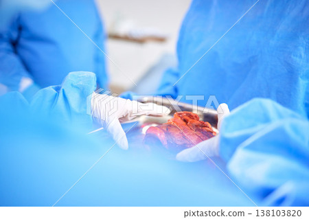 Organ transplant, hands and doctor surgery, medical support or teamwork on liver, healing accident injury or anatomy. Emergency, lung blood and closeup surgeon collaboration in ICU healthcare service 138103820