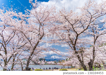 春天從岩手縣盛岡市高松公園看到的岩手山。 春天從岩手縣盛岡市高松公園看到的岩手山。 138104453