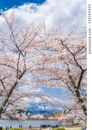 春天從岩手縣盛岡市高松公園看到的岩手山。 138104454