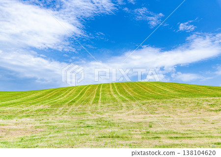 Early summer in Hokkaido: Blue skies and fields (image) Early summer in Hokkaido: Blue skies and fields (image) 138104620