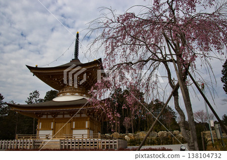 Koma-san Shōten-in Shōraku-ji Temple: Tahōtō pagoda and weeping cherry blossoms in full bloom, Hidaka City, Saitama Prefecture Koma-san Shōten-in Shōraku-ji Temple: Tahōtō pagoda and weeping cherry blossoms in full bloom, Hidaka City, Saitama Prefecture 138104732