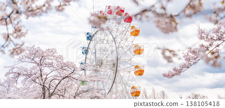 Spring scenery at Hachinohe Park and Children's Land in Aomori Prefecture, Hachinohe City 138105418