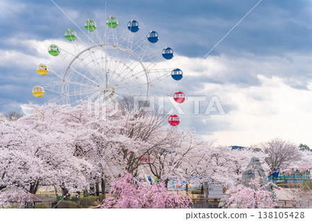 Spring scenery at Hachinohe Park and Children's Land in Aomori Prefecture, Hachinohe City 138105428